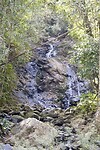 IMG_3468