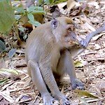 IMG_3477
