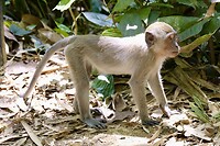 IMG_3476