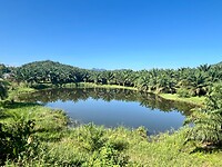 IMG_9598