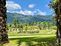 IMG_9599