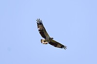 IMG_3499