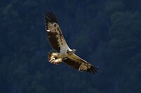 IMG_3496