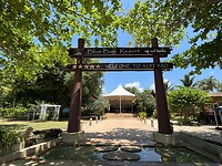 IMG_9690