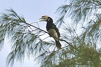 IMG_9706