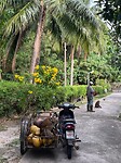 IMG_9728