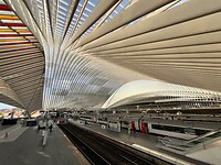 IMG_9943
