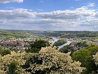 IMG_9970