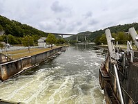 IMG_9990