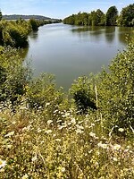 IMG_0024