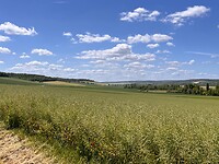 IMG_0099