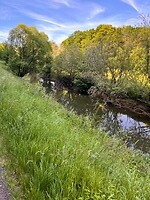 IMG_0115