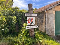 IMG_0121
