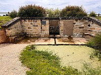 IMG_0122