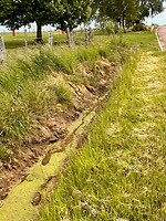 IMG_0125