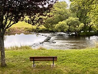 IMG_0136