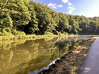 IMG_0149