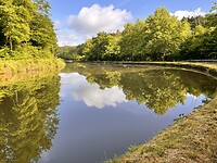 IMG_0151