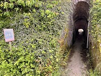IMG_0156