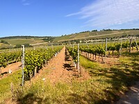 IMG_0213