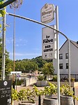 IMG_0217