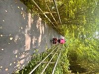IMG_0220