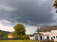 IMG_0223