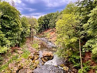 IMG_0225