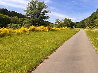 IMG_0240