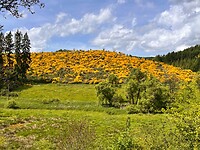 IMG_0249