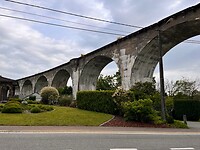 IMG_0252