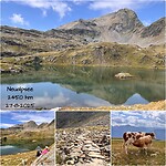 IMG_3584