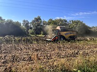 IMG_0769
