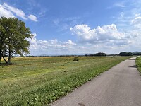 IMG_0793