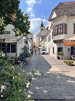 IMG_0824
