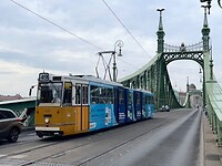 IMG_0856