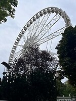 IMG_0884