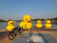 IMG_1150
