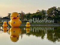 IMG_1157