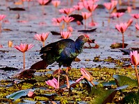 IMG_3621