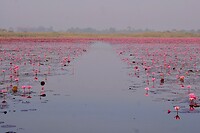 IMG_3624