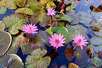IMG_3614