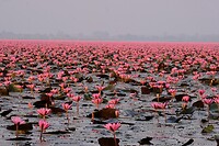 IMG_3615