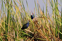 IMG_3626