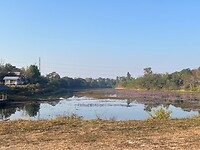 IMG_1213