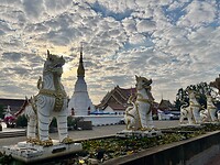 IMG_1234