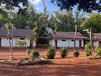 IMG_1245