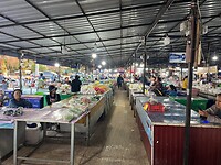 IMG_1246