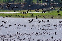 IMG_3641