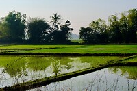 IMG_3639